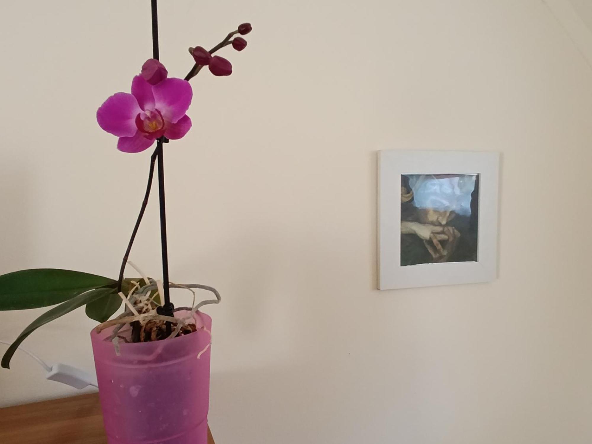 Cehmesterek Apartman Eger Luaran gambar
